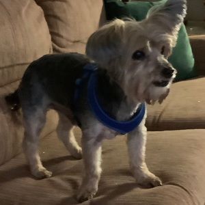 Meet your Posher, Kathy